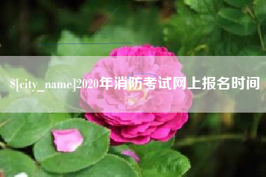普洱2020年消防考试网上报名时间