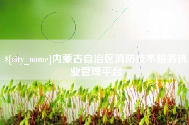 普洱内蒙古自治区消防技术服务执业管理平台