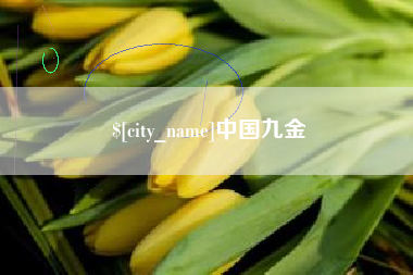 普洱中国九金
