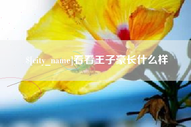 普洱看看王子豪长什么样