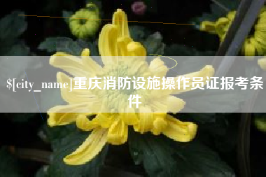 普洱重庆消防设施操作员证报考条件