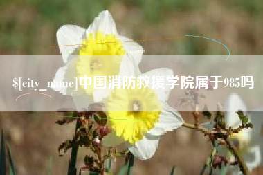 普洱中国消防救援学院属于985吗