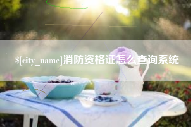普洱消防资格证怎么查询系统