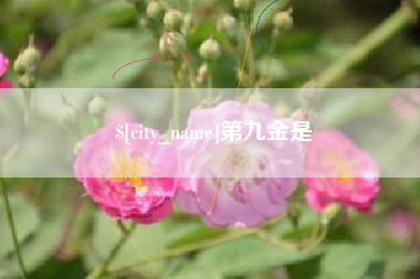 普洱第九金是