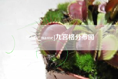 普洱九宫格分布图