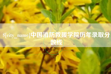 普洱中国消防救援学院历年录取分数线