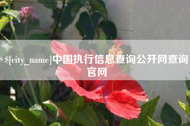 普洱中国执行信息查询公开网查询官网