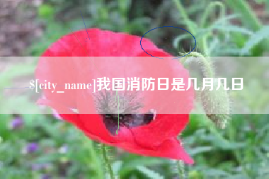 普洱我国消防日是几月几日
