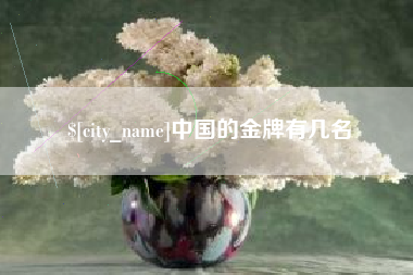 普洱中国的金牌有几名