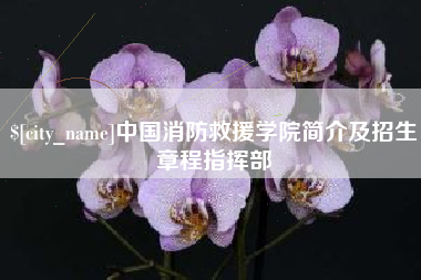 普洱中国消防救援学院简介及招生章程指挥部