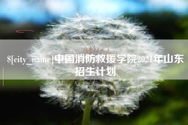 普洱中国消防救援学院2021年山东招生计划