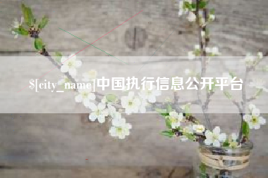 普洱中国执行信息公开平台