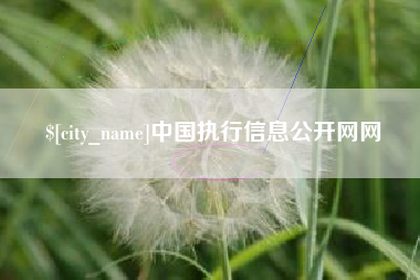 普洱中国执行信息公开网网