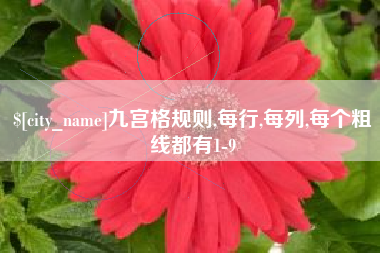 普洱九宫格规则,每行,每列,每个粗线都有1-9