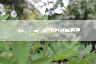 普洱2024奥运冠军名字