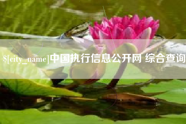 普洱中国执行信息公开网 综合查询