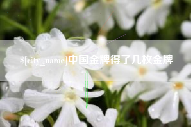 普洱中国金牌得了几枚金牌
