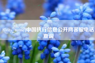 普洱中国执行信息公开网客服电话查询