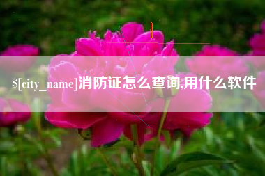 普洱消防证怎么查询,用什么软件