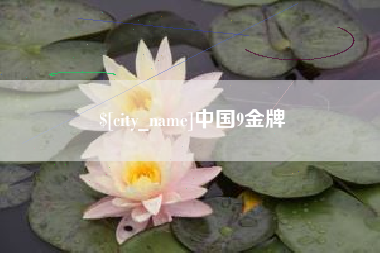 普洱中国9金牌