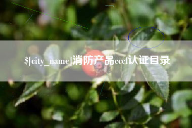 普洱消防产品cccf认证目录
