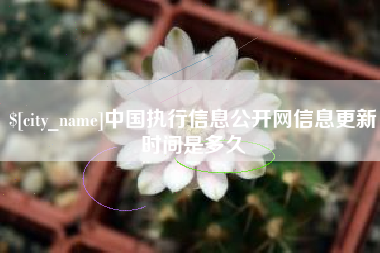 普洱中国执行信息公开网信息更新时间是多久