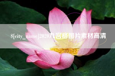 普洱2020九宫格图片素材高清