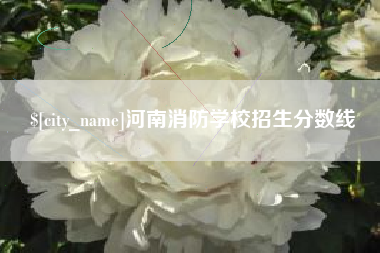 普洱河南消防学校招生分数线
