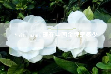 普洱现在中国金牌是多少