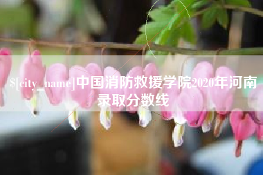 普洱中国消防救援学院2020年河南录取分数线