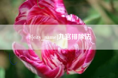 普洱九宫排除法