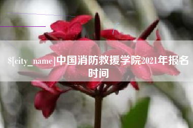普洱中国消防救援学院2021年报名时间