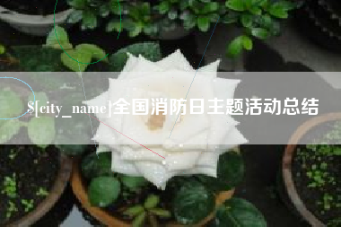 普洱全国消防日主题活动总结