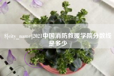 普洱2021中国消防救援学院分数线是多少