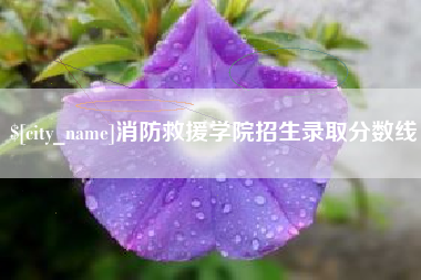 普洱消防救援学院招生录取分数线