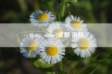 普洱成都 消防