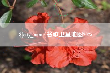 普洱谷歌卫星地图2025