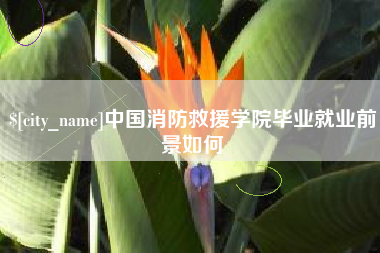 普洱中国消防救援学院毕业就业前景如何