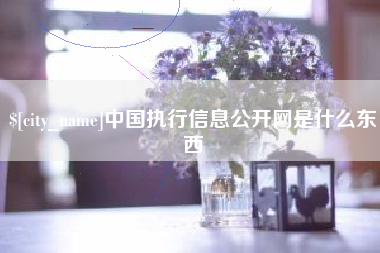 普洱中国执行信息公开网是什么东西