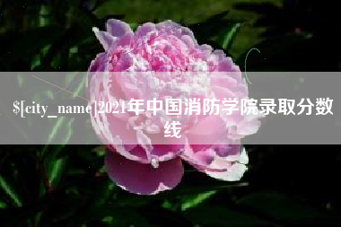 普洱2021年中国消防学院录取分数线