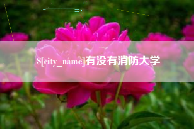 普洱有没有消防大学
