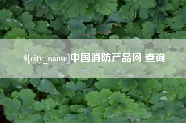 普洱中国消防产品网 查询