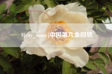 普洱中国第九金回放