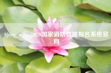 普洱2020国家消防救援报名系统官网