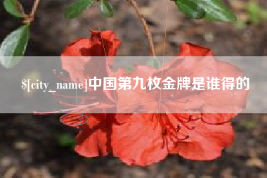 普洱中国第九枚金牌是谁得的