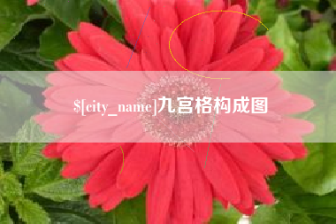 普洱九宫格构成图