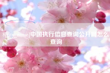 普洱中国执行信息查询公开网怎么查询