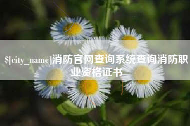 普洱消防官网查询系统查询消防职业资格证书