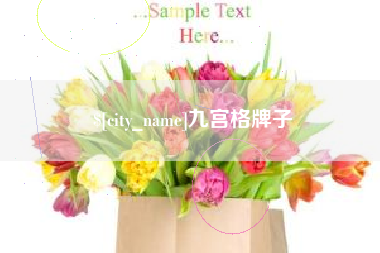 普洱九宫格牌子