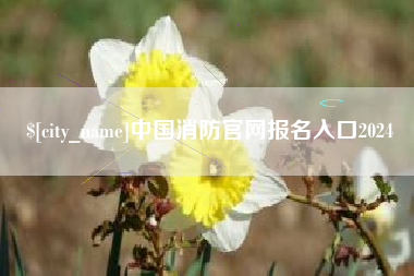 普洱中国消防官网报名入口2024